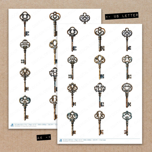 Antique Key Fussy Cut Sheets (DDD008983)
