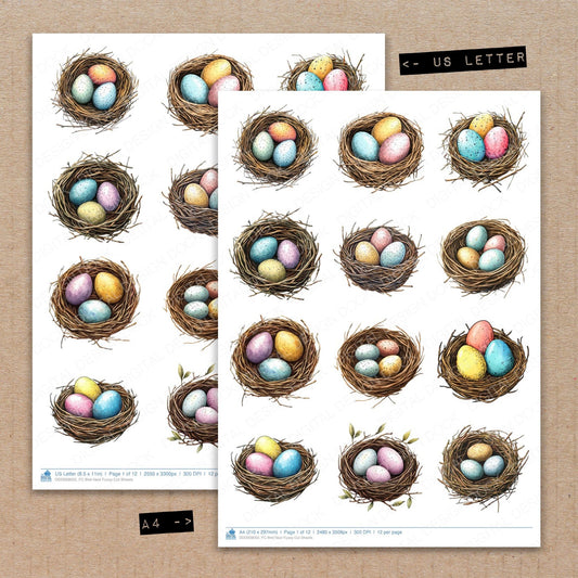 A4 and US Letter format comparison showing Bird Nest fussy cut pages for print and cut crafting