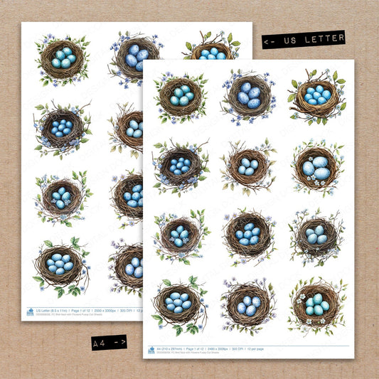 A4 and US Letter format comparison showing Bird Nest with Flowers fussy cut pages for print and cut crafting
