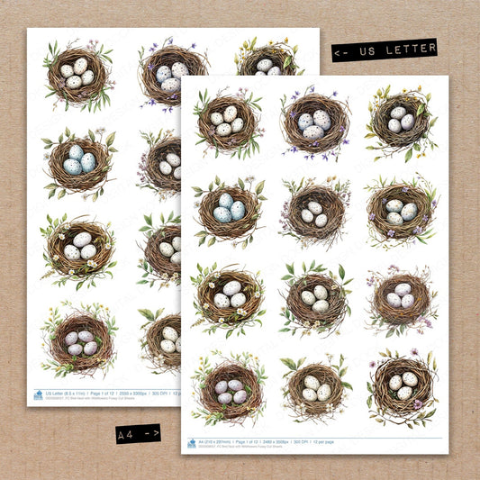 A4 and US Letter format comparison showing Bird Nest with Wildflowers fussy cut pages for print and cut crafting