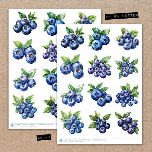 A4 and US Letter format comparison showing Blueberries fussy cut pages for print and cut crafting