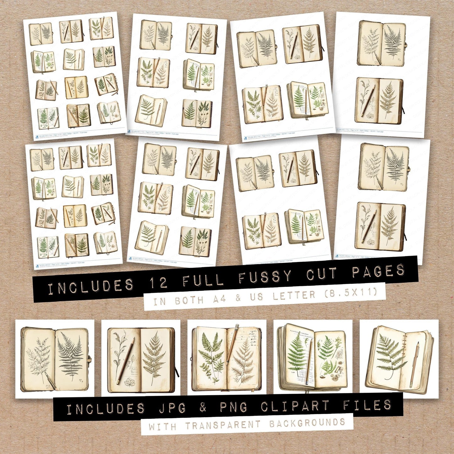 Botanical Field Notebook Fussy Cut Sheets (DDD009140)