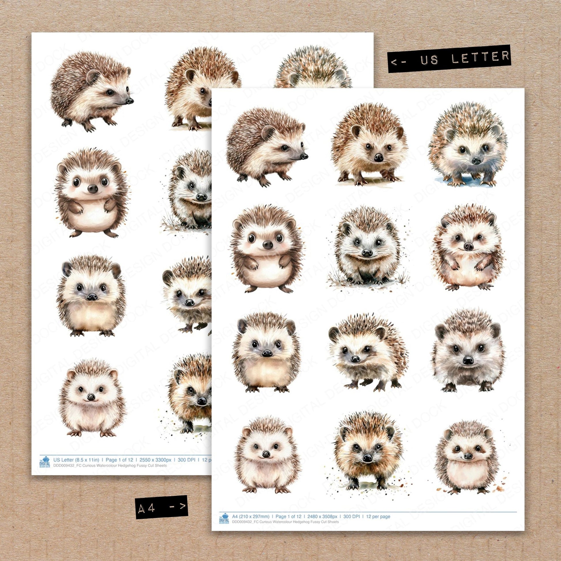 A4 and US Letter format comparison showing Curious Watercolour Hedgehog fussy cut pages for print and cut crafting