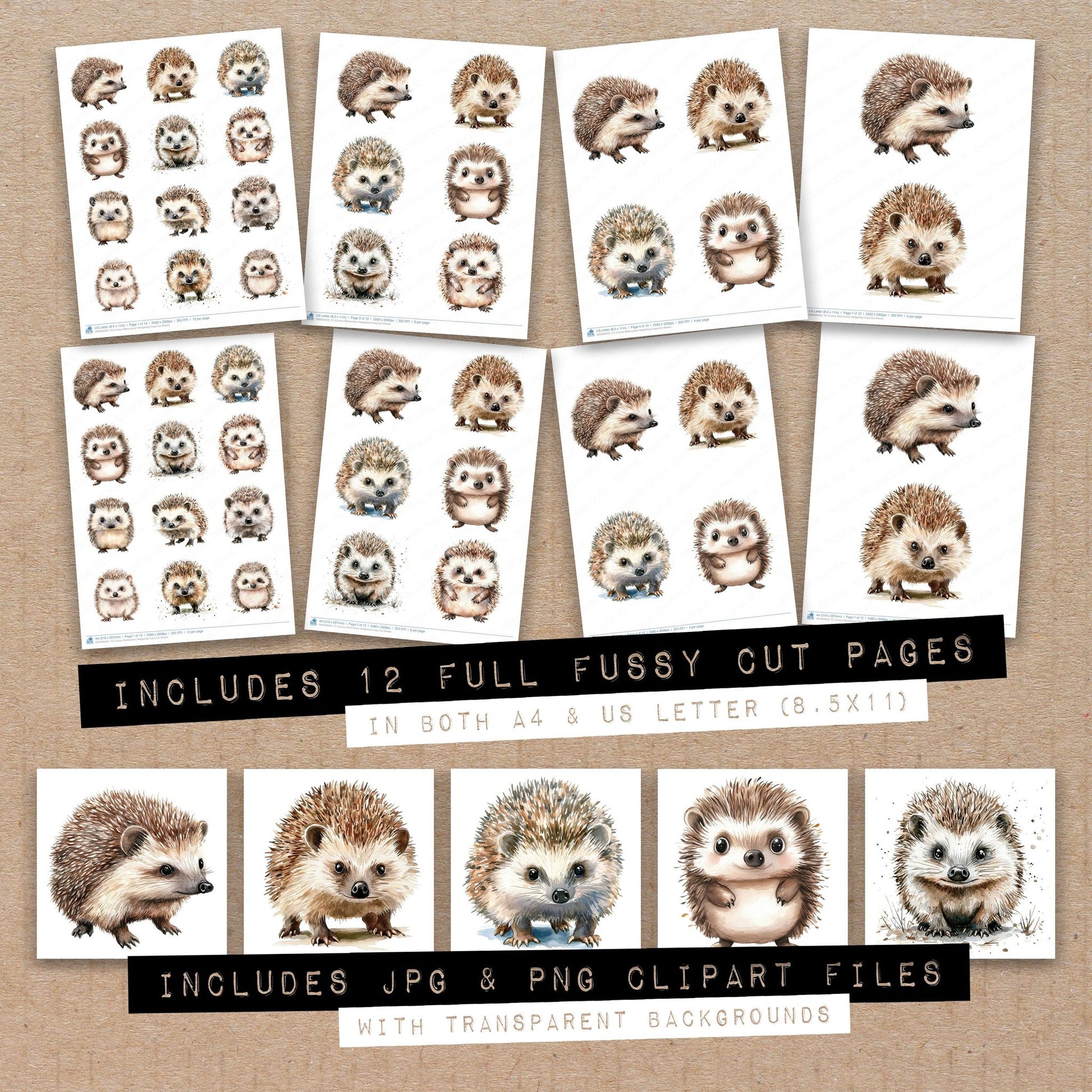 Full collection view of Curious Watercolour Hedgehog fussy cut sheets with bonus clipart JPG and PNG files