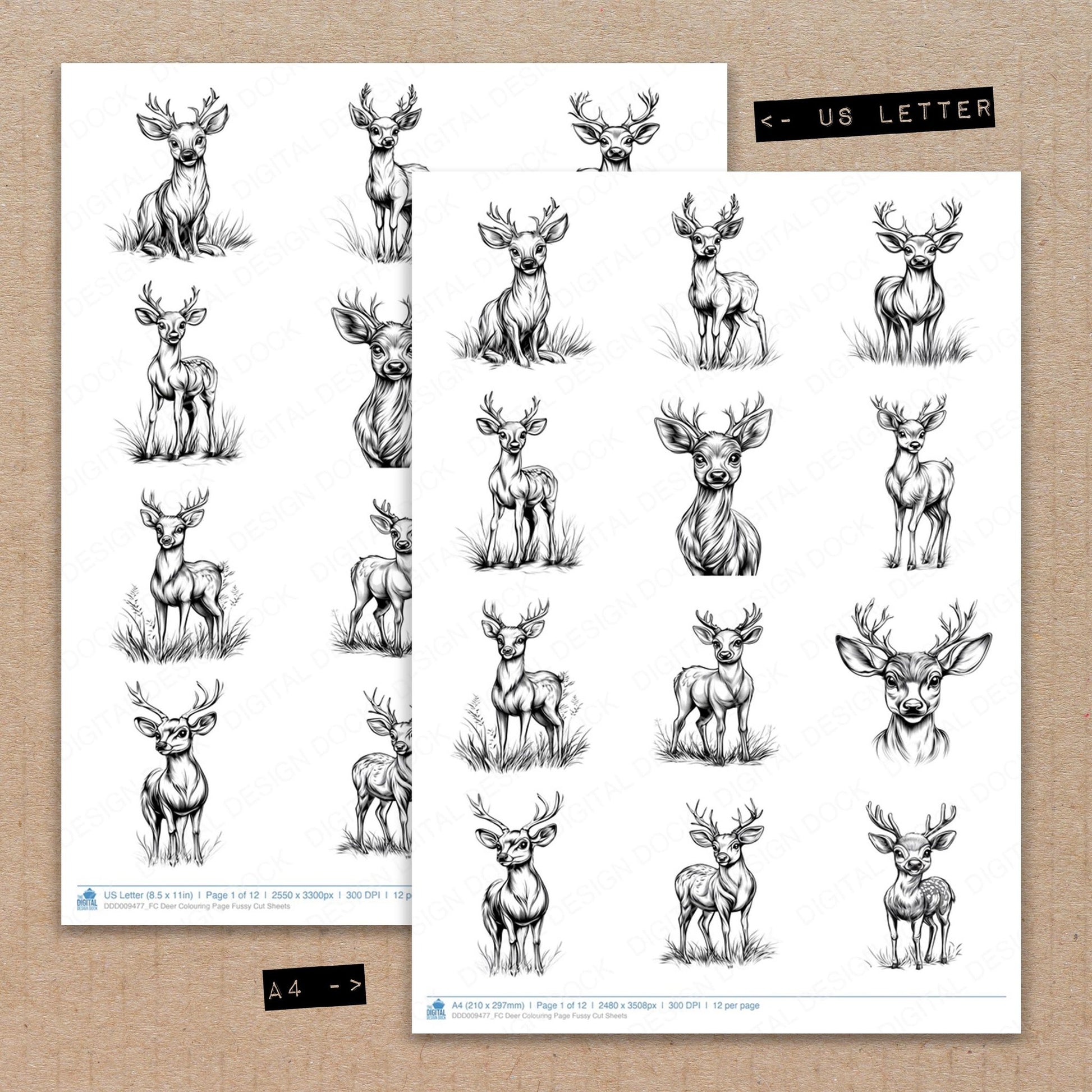 A4 and US Letter format comparison showing Deer Colouring Page fussy cut pages for print and cut crafting