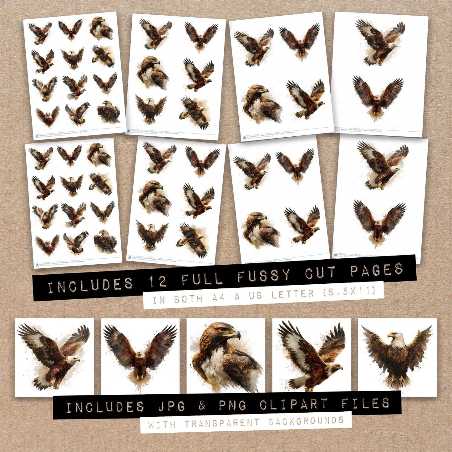 Full collection view of Eagle Bird Illustration fussy cut sheets with bonus clipart JPG and PNG files