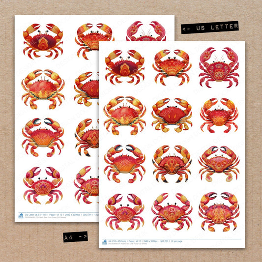 A4 and US Letter format comparison showing Fabric Sea Crab fussy cut pages for print and cut crafting