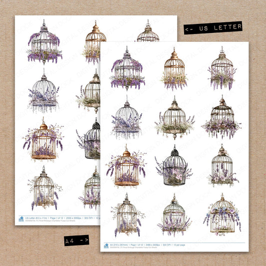 A4 and US Letter format comparison showing Floral Birdcage Chandelier fussy cut pages for print and cut crafting