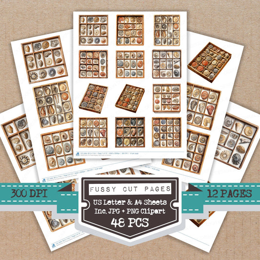 Fossil Display Tray fussy cut printable sheets for junk journaling, scrapbooking, and paper craft projects