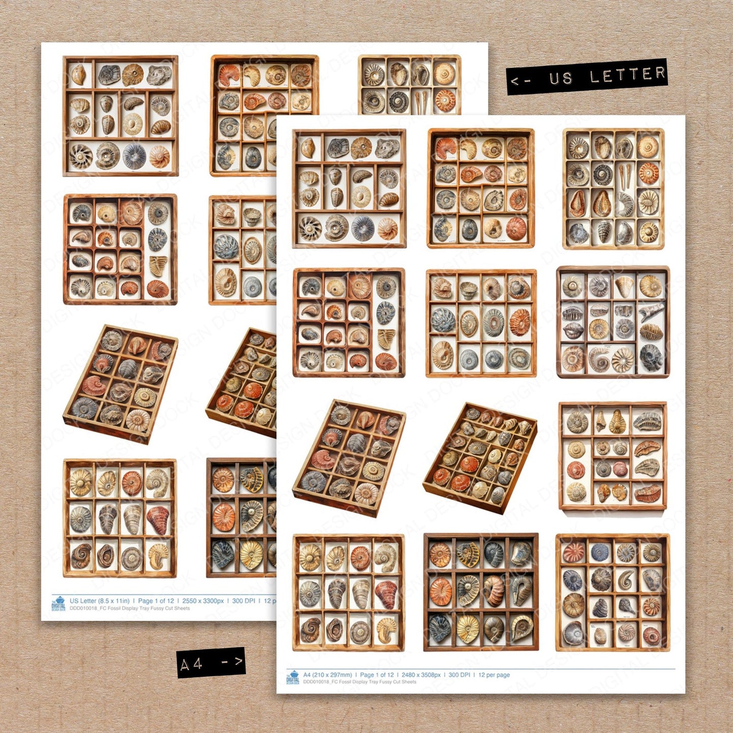 A4 and US Letter format comparison showing Fossil Display Tray fussy cut pages for print and cut crafting