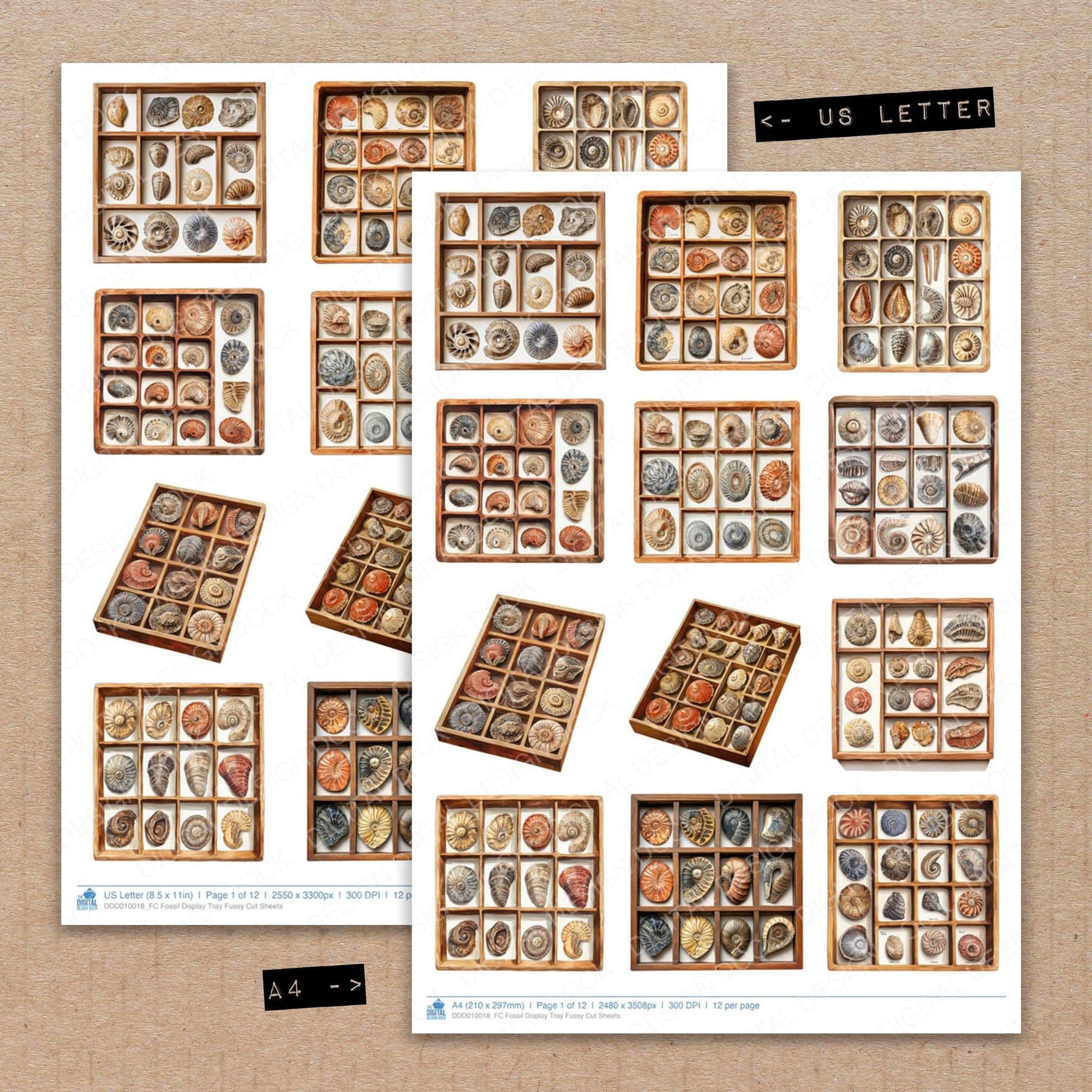 A4 and US Letter format comparison showing Fossil Display Tray fussy cut pages for print and cut crafting
