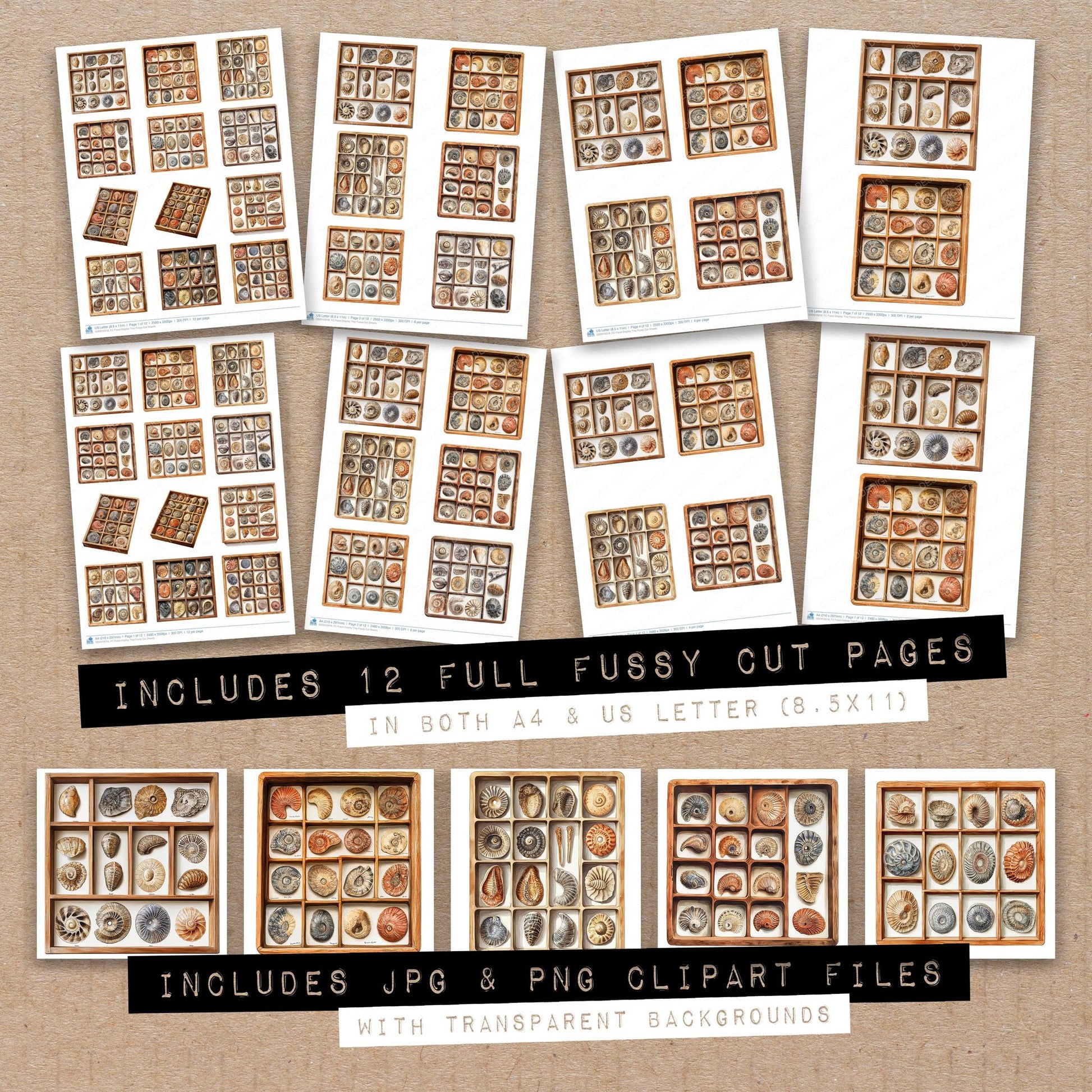 Full collection view of Fossil Display Tray fussy cut sheets with bonus clipart JPG and PNG files