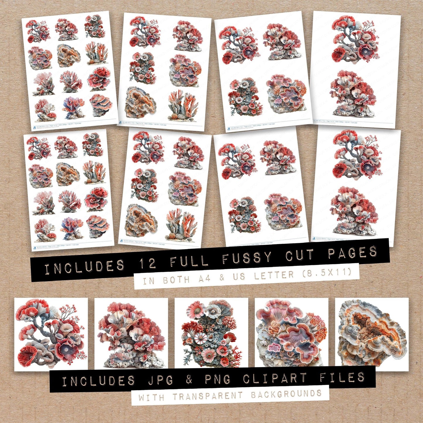 Fossilised Coral Fussy Cut Sheets (DDD010019)