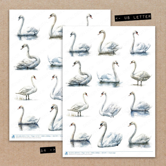 Graceful Swan Fussy Cut Sheets (DDD010119)