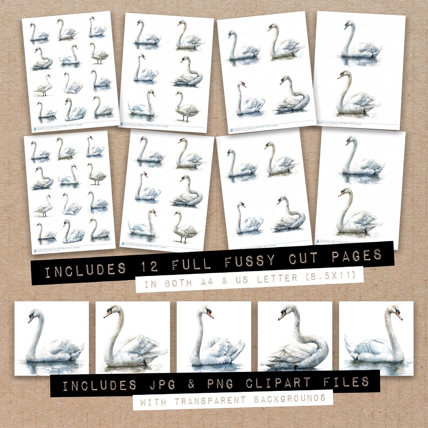 Graceful Swan Fussy Cut Sheets (DDD010119)