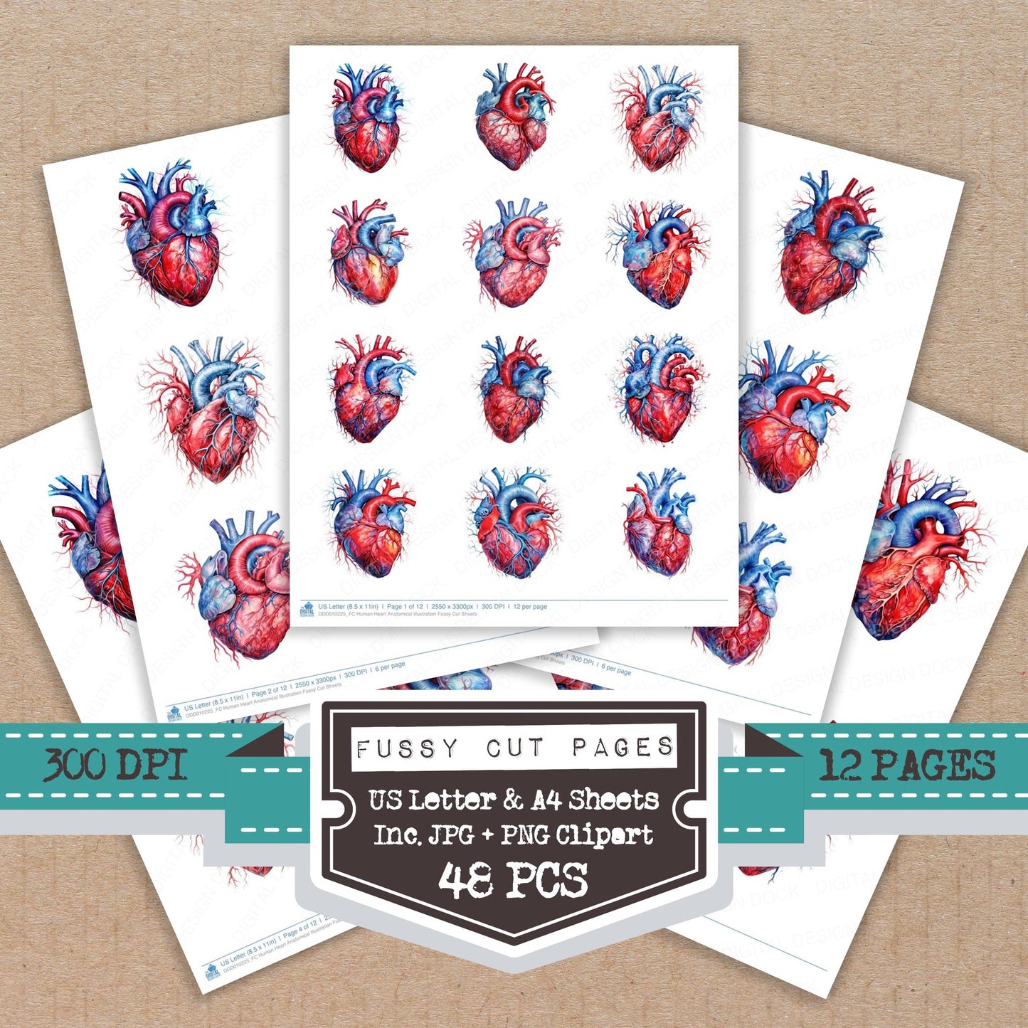 Human Heart Anatomical Illustration fussy cut printable sheets for junk journaling, scrapbooking, and paper craft projects