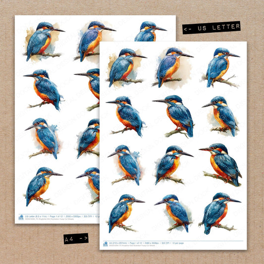 A4 and US Letter format comparison showing Kingfisher Bird Illustration fussy cut pages for print and cut crafting
