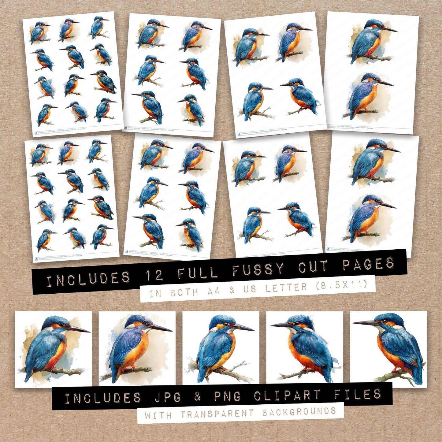 Full collection view of Kingfisher Bird Illustration fussy cut sheets with bonus clipart JPG and PNG files
