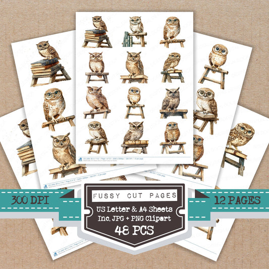 Library Owl on Ladder Fussy Cut Sheets (DDD010336)