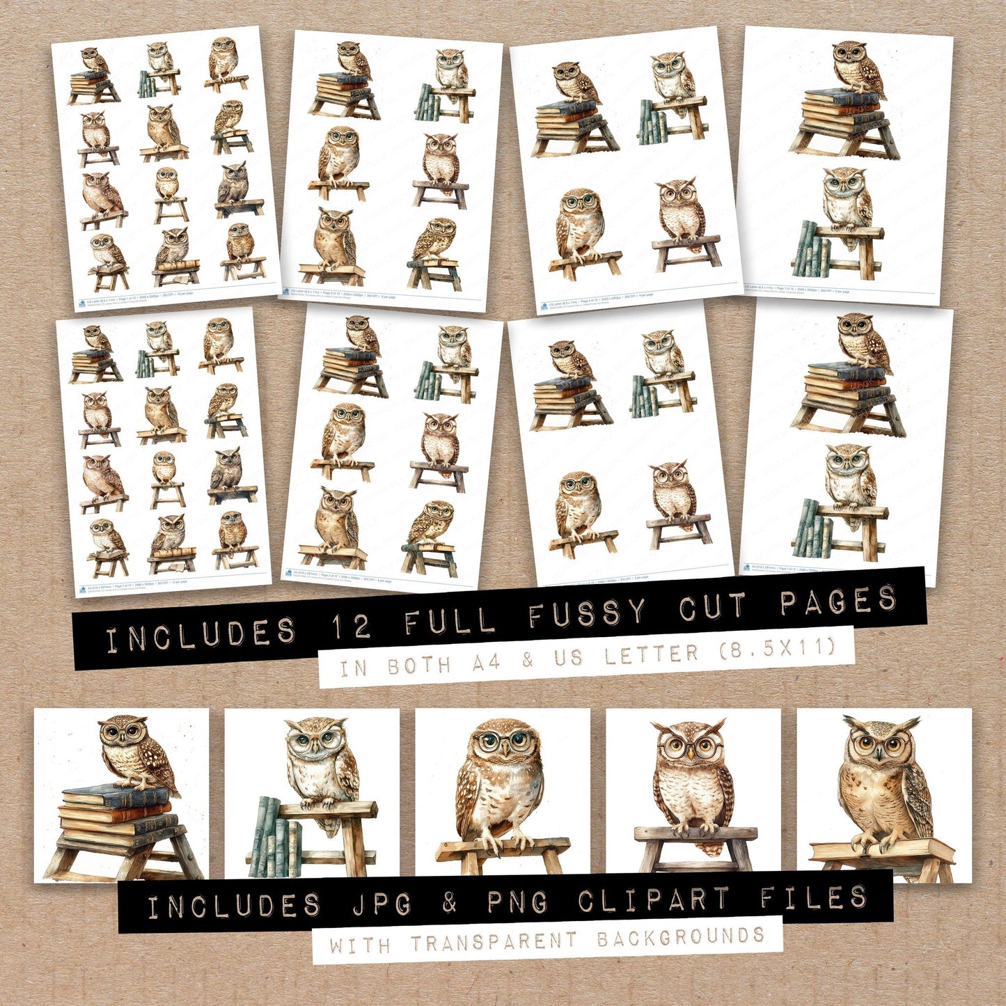 Library Owl on Ladder Fussy Cut Sheets (DDD010336)