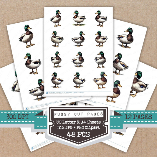 DDD010386_FC Mallard Duck Illustration Fussy Cut Sheets