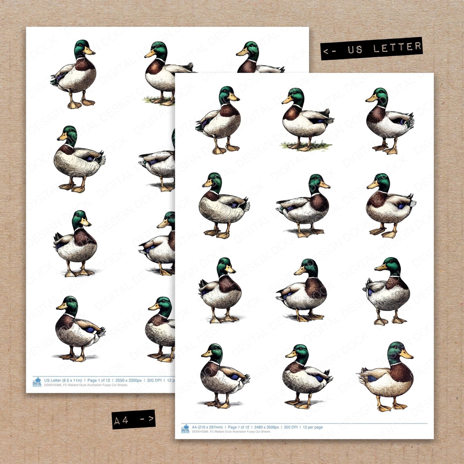 DDD010386_FC Mallard Duck Illustration Fussy Cut Sheets