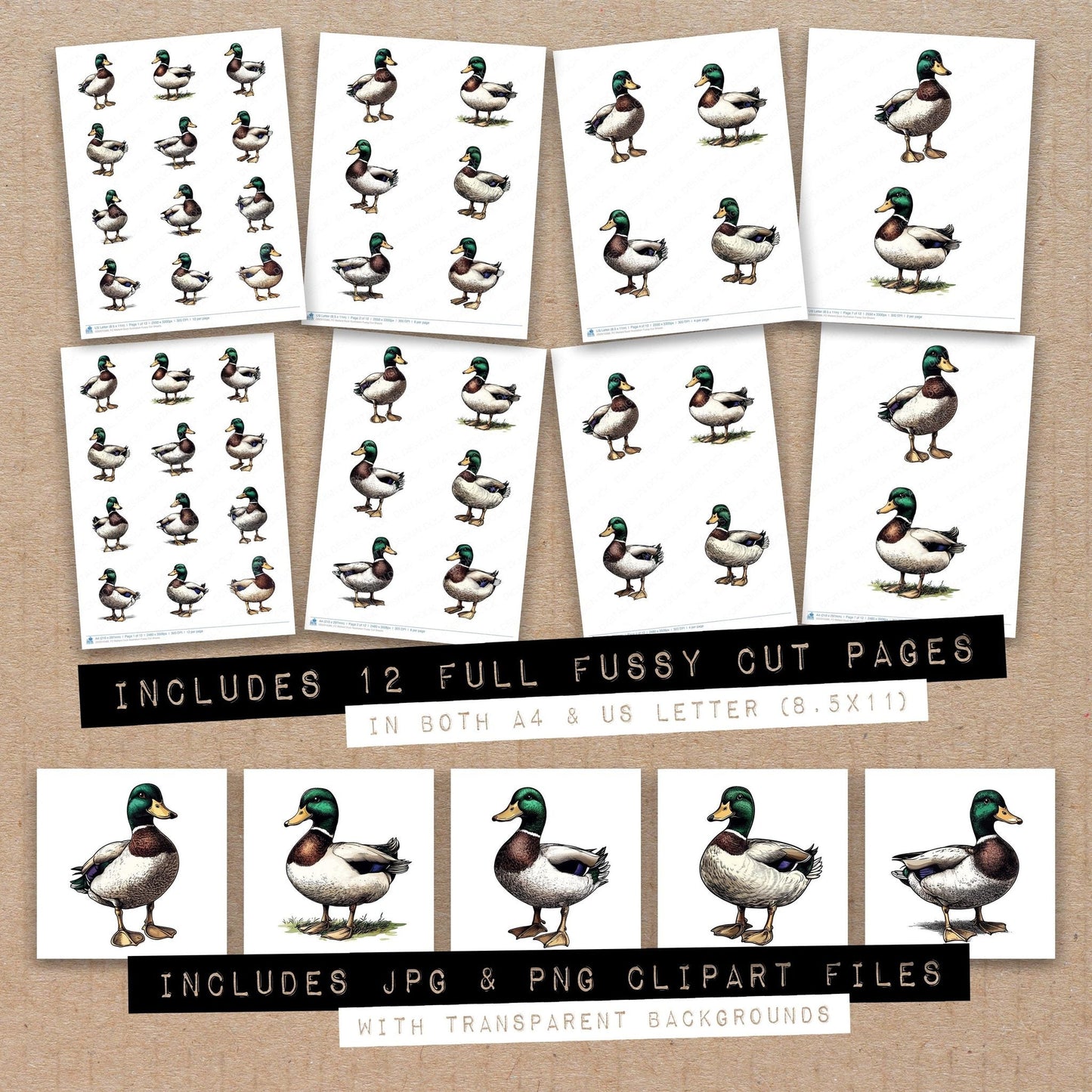 DDD010386_FC Mallard Duck Illustration Fussy Cut Sheets