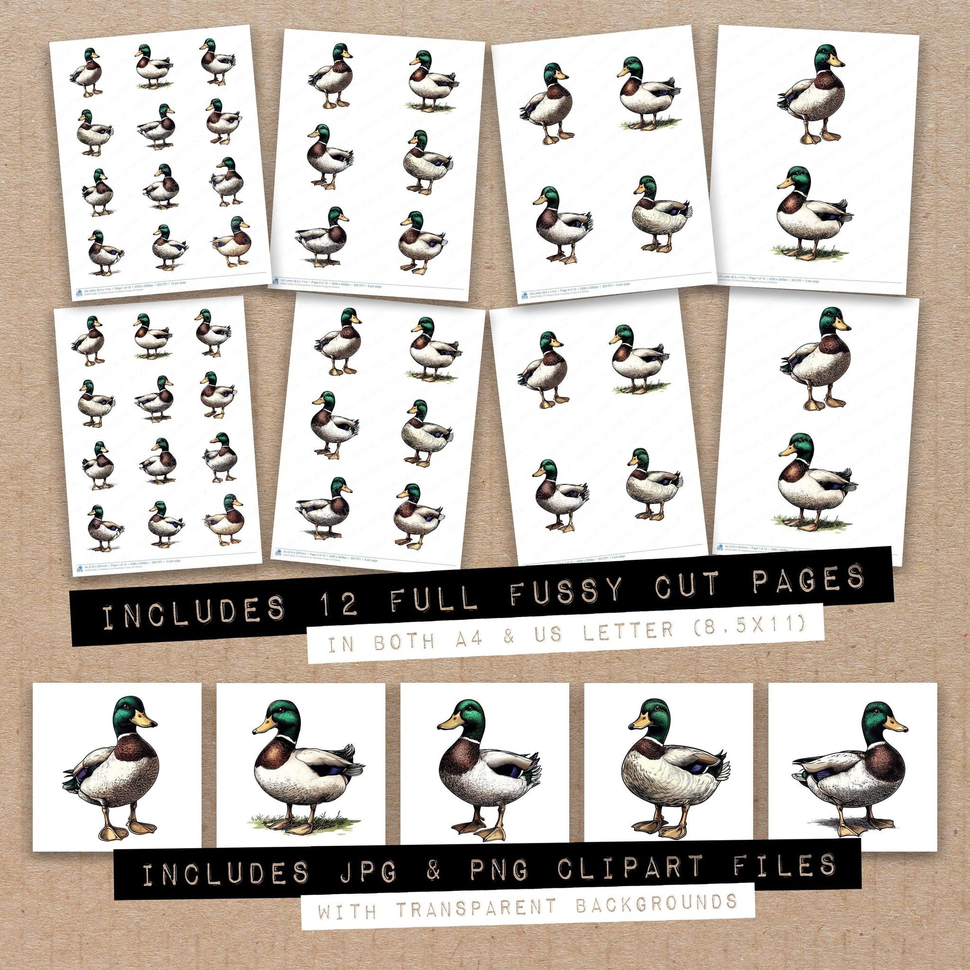 DDD010386_FC Mallard Duck Illustration Fussy Cut Sheets