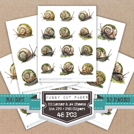 DDD010479_FC Moss Covered Snail Fussy Cut Sheets