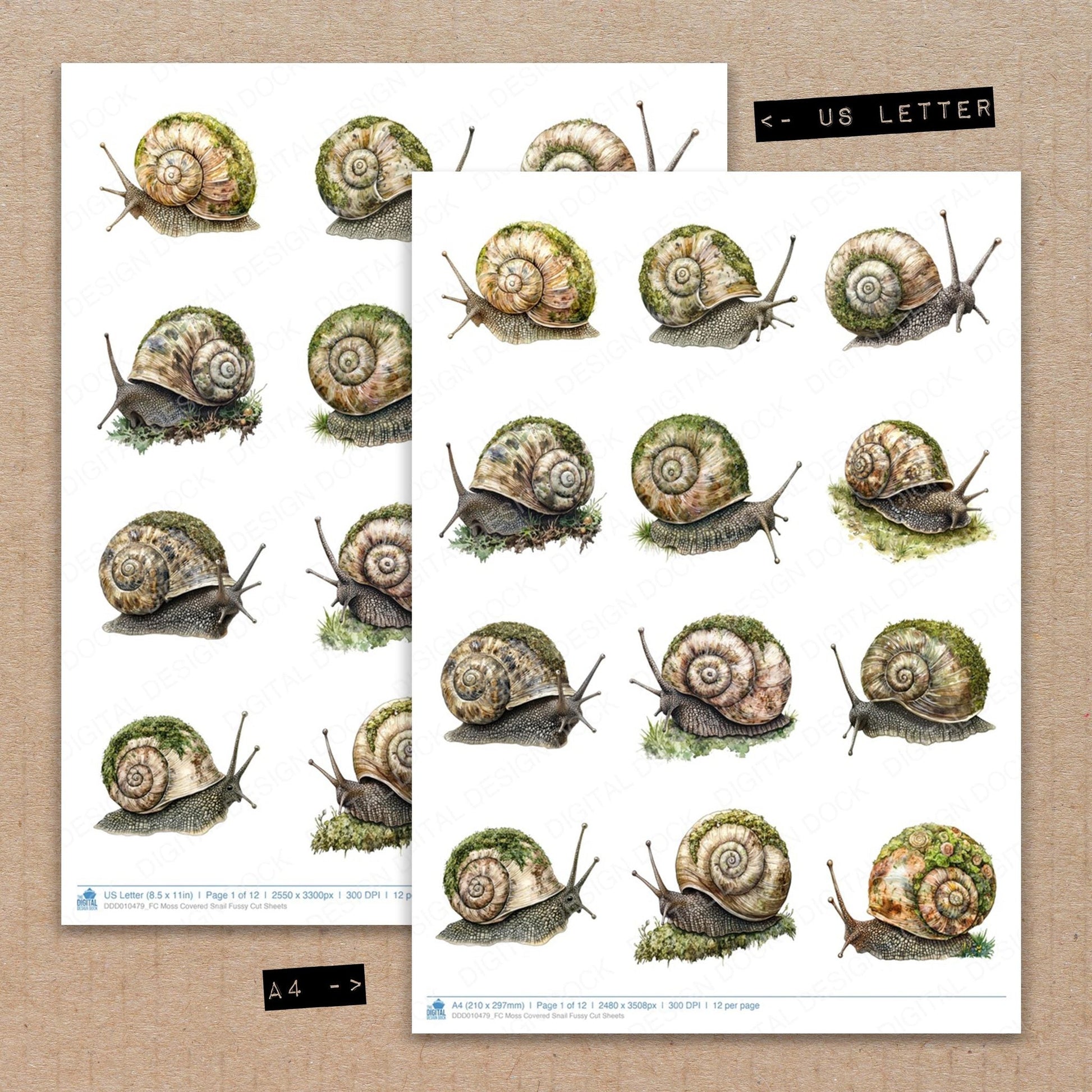 DDD010479_FC Moss Covered Snail Fussy Cut Sheets