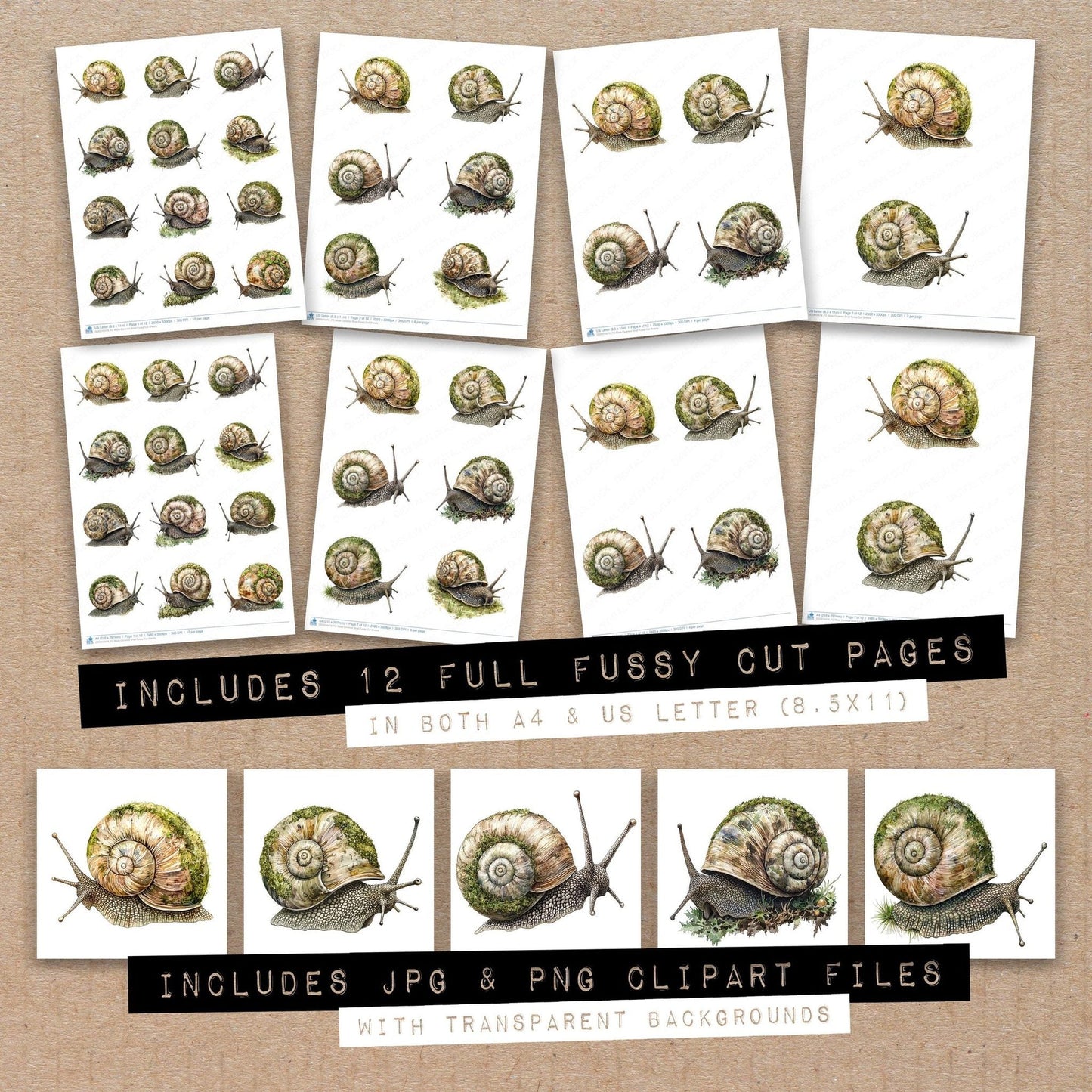 DDD010479_FC Moss Covered Snail Fussy Cut Sheets
