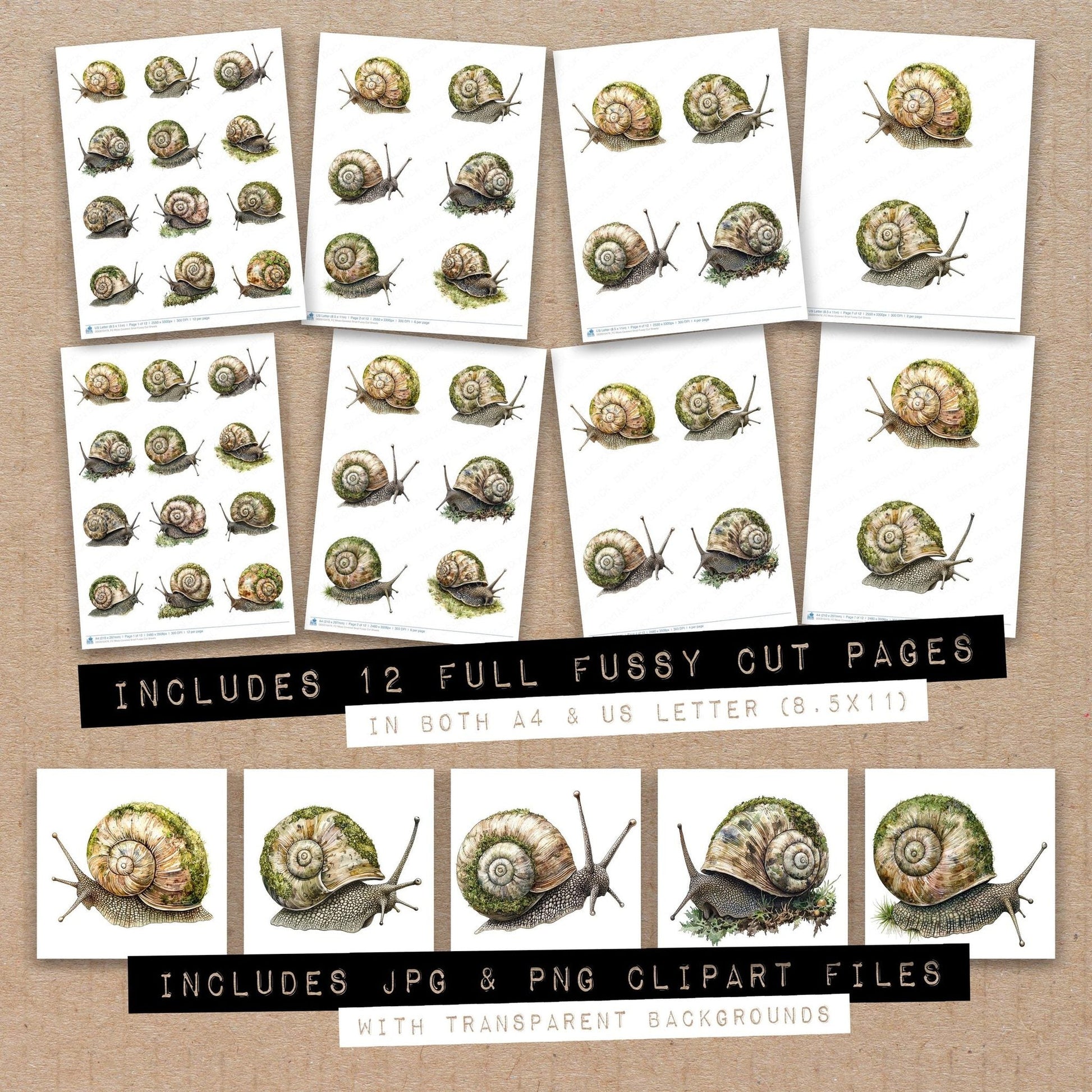 DDD010479_FC Moss Covered Snail Fussy Cut Sheets