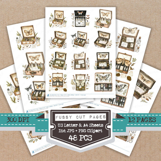 Moth Specimen Box Fussy Cut Sheets (DDD010480)