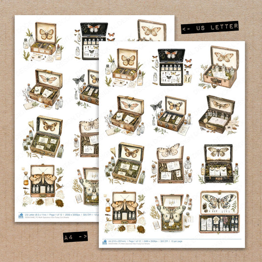 Moth Specimen Box Fussy Cut Sheets (DDD010480)