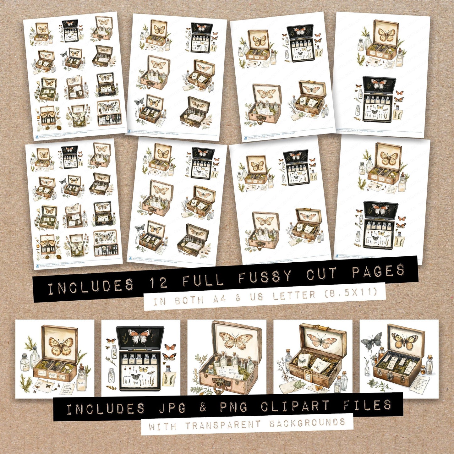 Moth Specimen Box Fussy Cut Sheets (DDD010480)