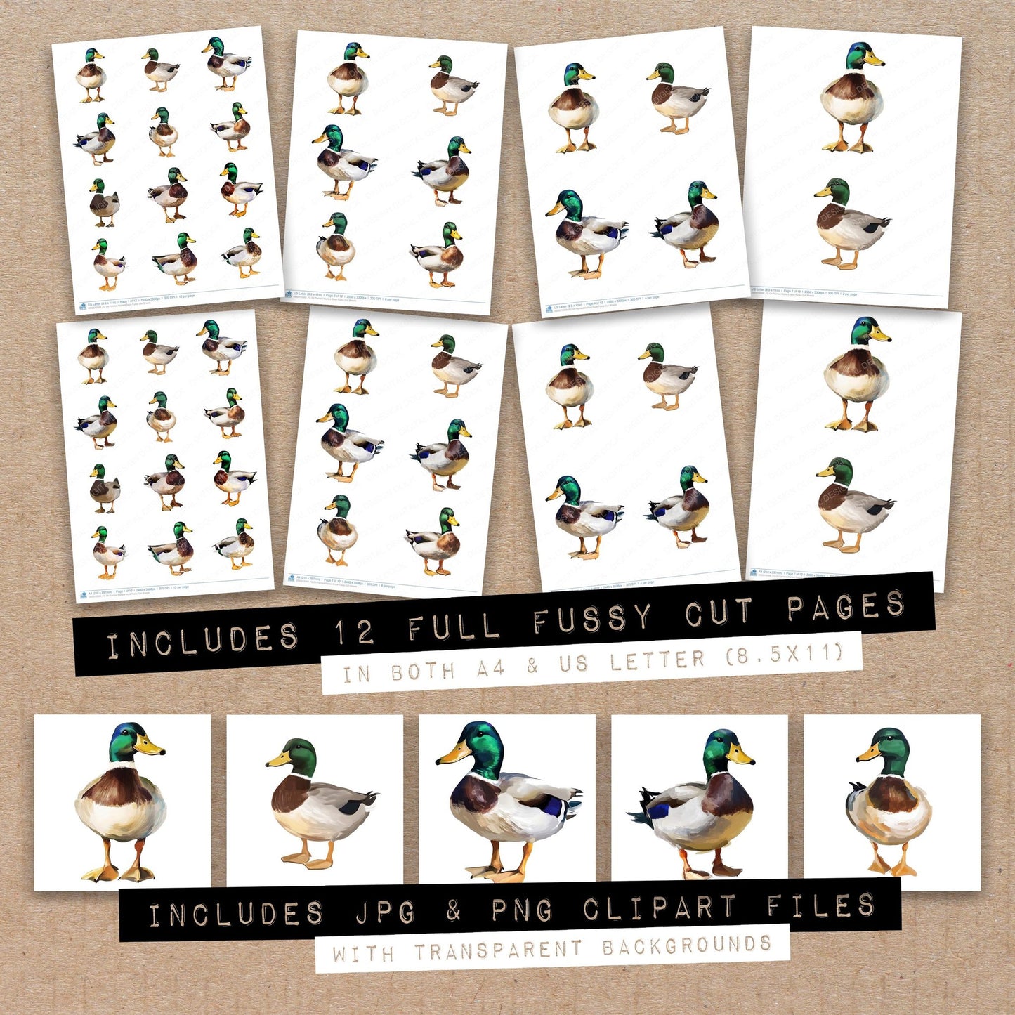 Oil Painted Mallard Duck Fussy Cut Sheets (DDD010569)