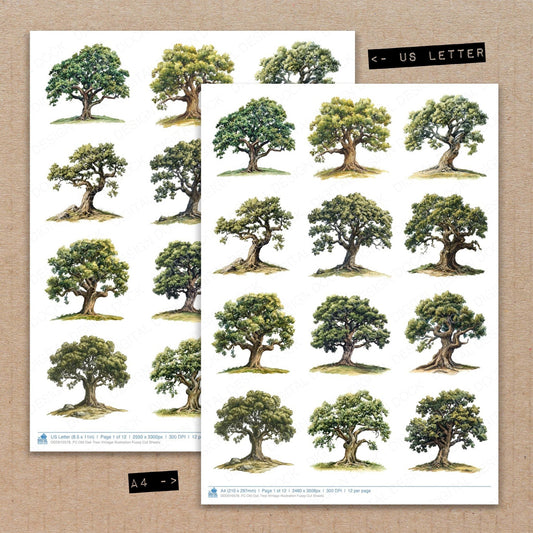 DDD010578_FC Old Oak Tree Vintage Illustration Fussy Cut Sheets