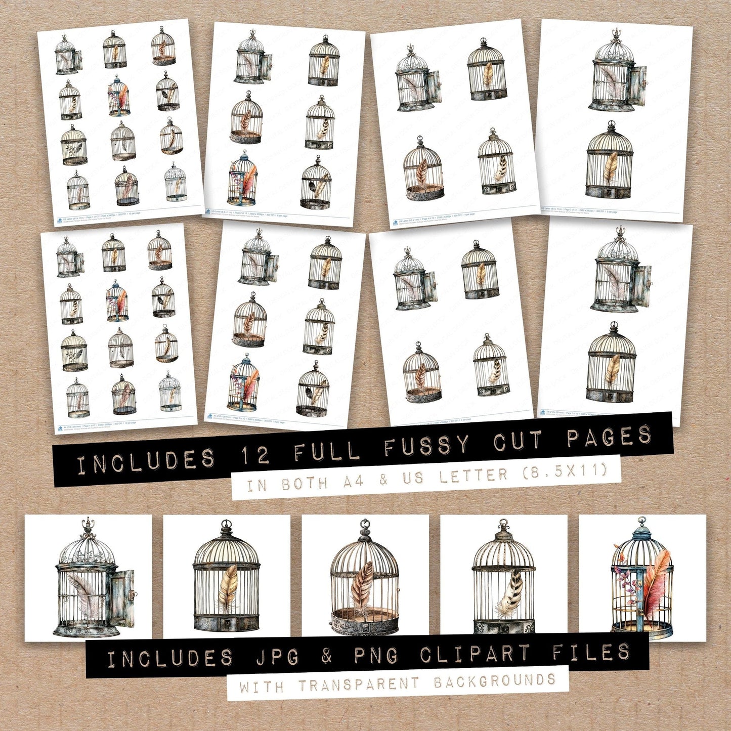DDD010584_FC Open Birdcage with Feather Fussy Cut Sheets