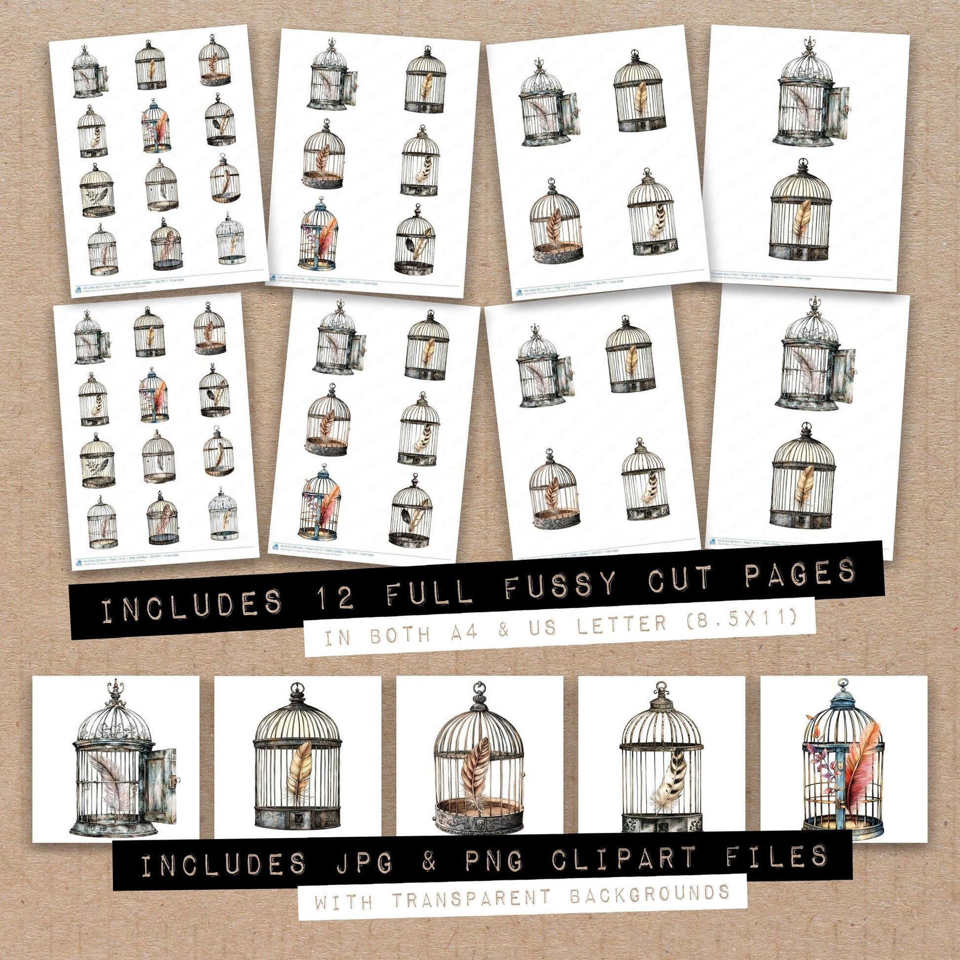 DDD010584_FC Open Birdcage with Feather Fussy Cut Sheets