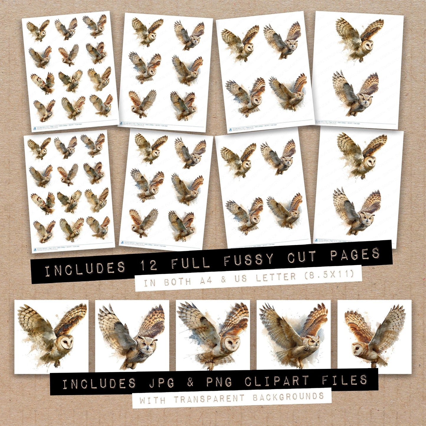 DDD010605_FC Owl In Flight Fussy Cut Sheets
