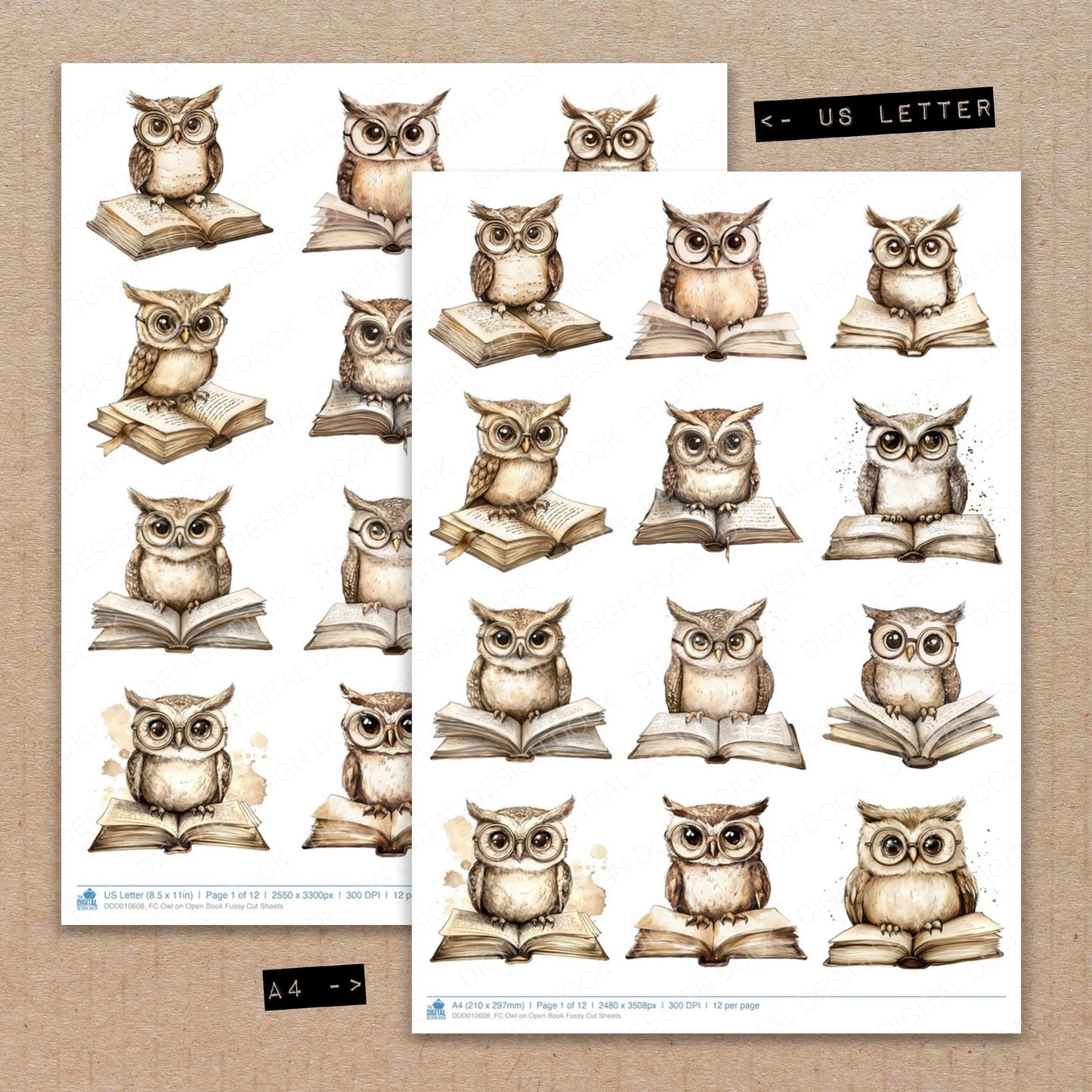 DDD010608_FC Owl on Open Book Fussy Cut Sheets