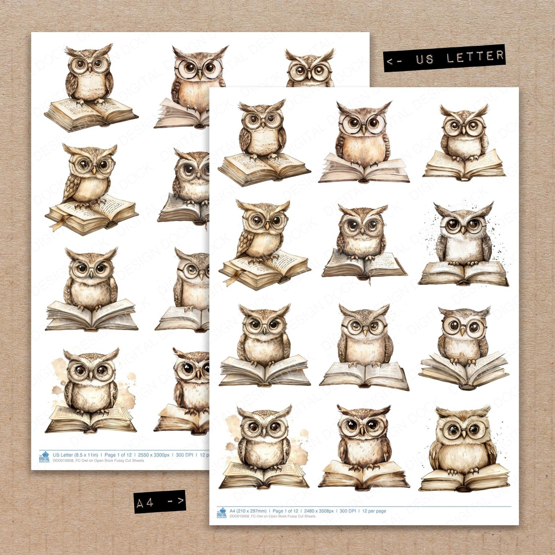 DDD010608_FC Owl on Open Book Fussy Cut Sheets