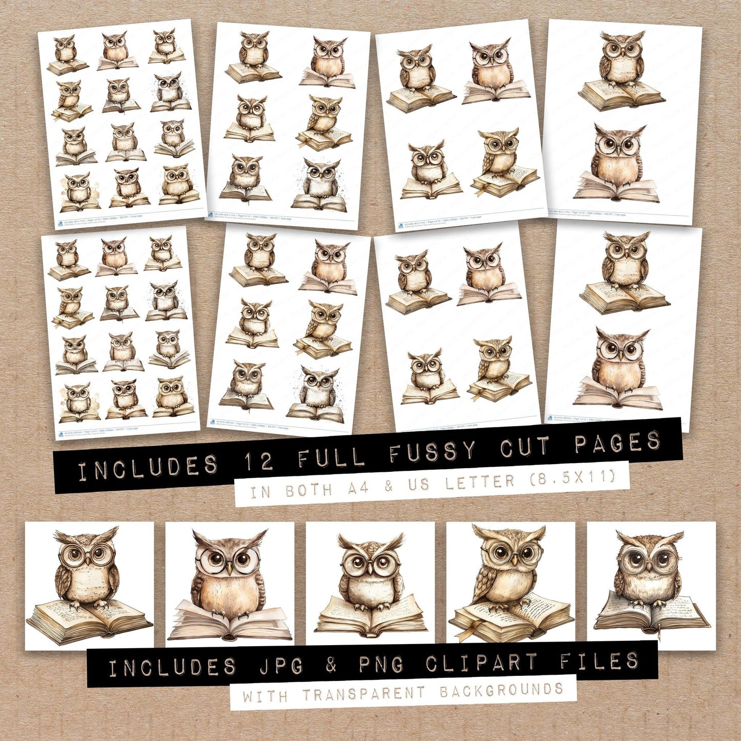 DDD010608_FC Owl on Open Book Fussy Cut Sheets