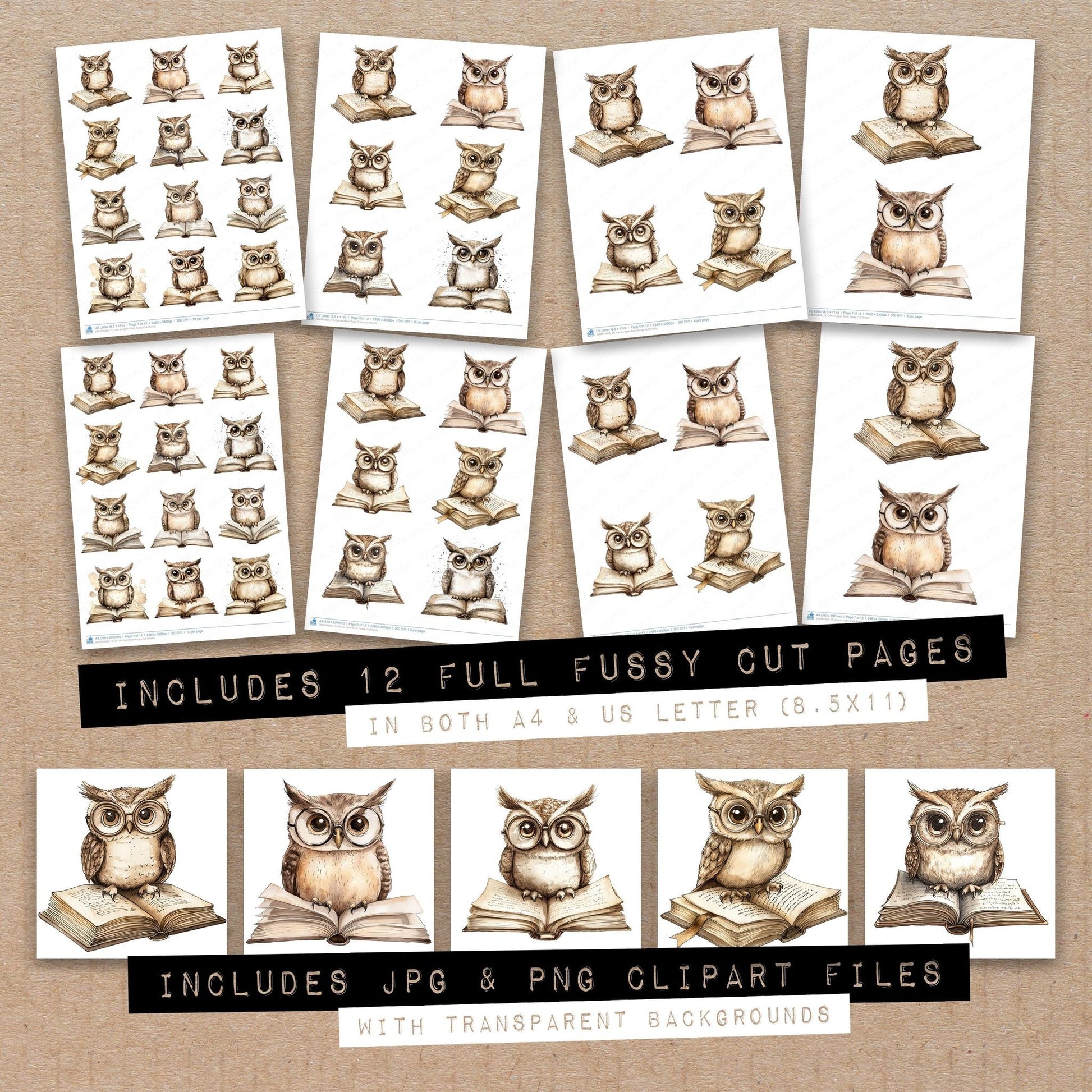 DDD010608_FC Owl on Open Book Fussy Cut Sheets