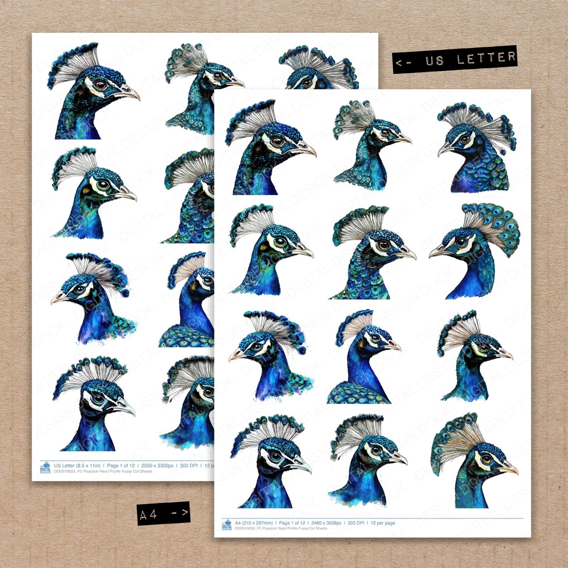 A4 and US Letter format comparison showing Peacock Head Profile fussy cut pages for print and cut crafting