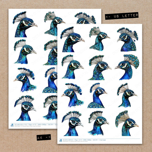 A4 and US Letter format comparison showing Peacock Head Profile fussy cut pages for print and cut crafting