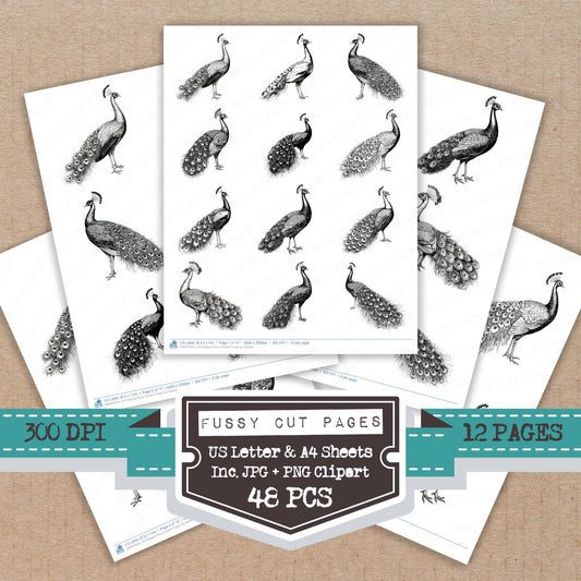 Peacock Pencil Sketch fussy cut printable sheets for junk journaling, scrapbooking, and paper craft projects