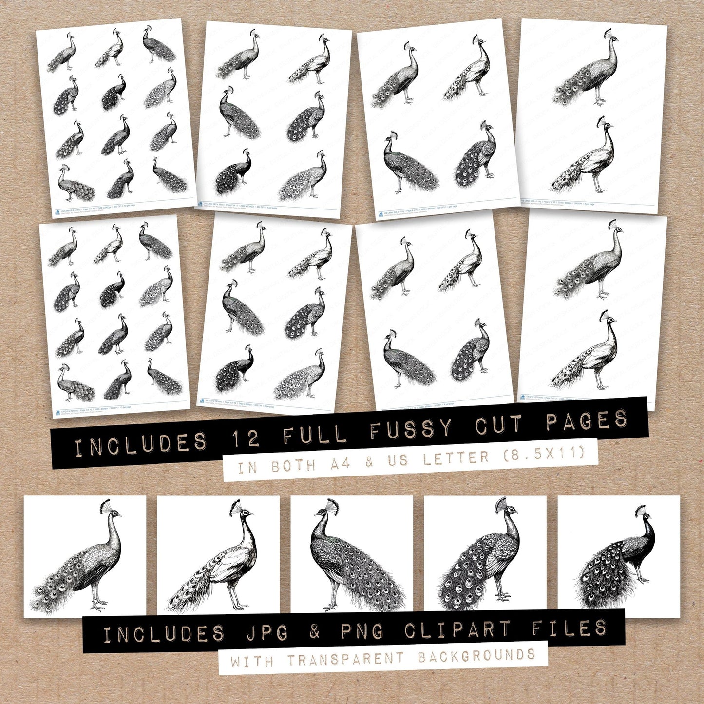 Full collection view of Peacock Pencil Sketch fussy cut sheets with bonus clipart JPG and PNG files