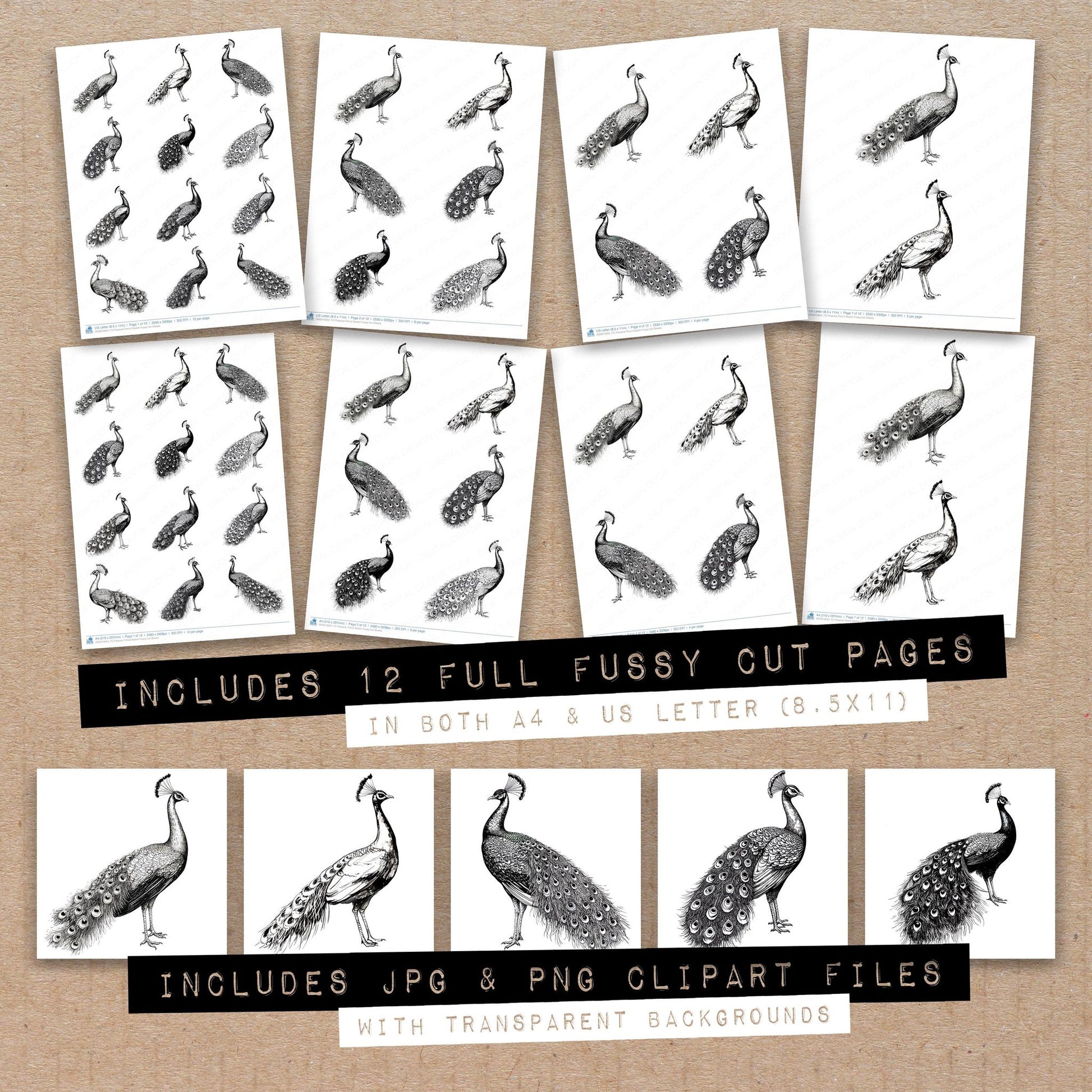 Full collection view of Peacock Pencil Sketch fussy cut sheets with bonus clipart JPG and PNG files