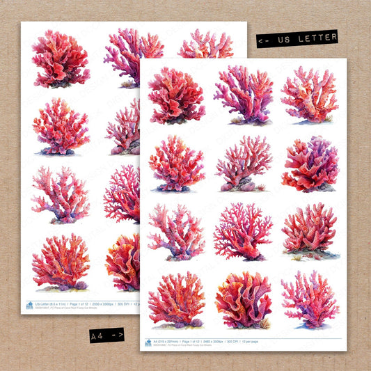 A4 and US Letter format comparison showing Piece of Coral Reef fussy cut pages for print and cut crafting